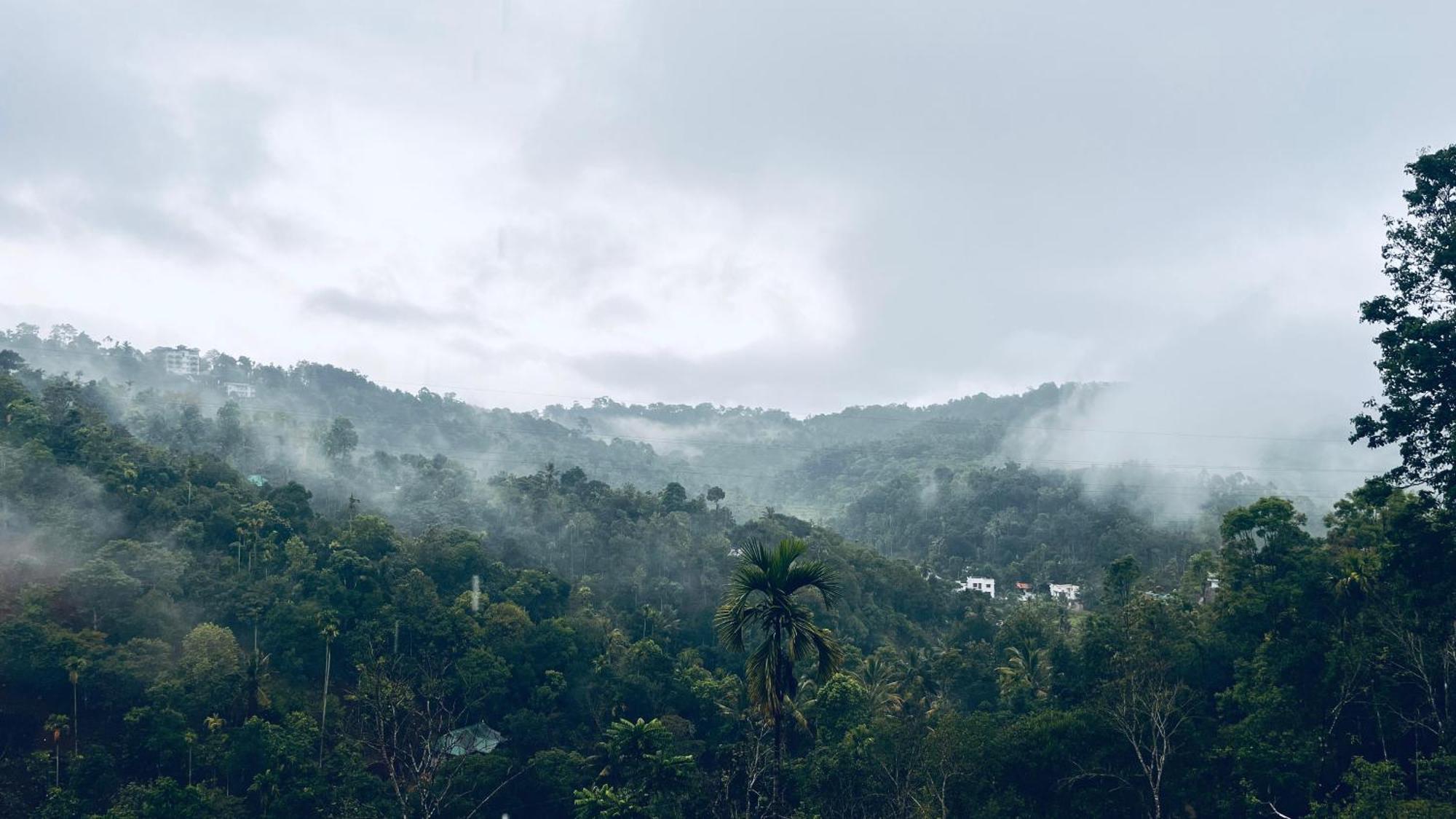 Elenji Vitara Resort Munnar Zewnętrze zdjęcie